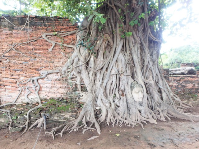 Ayutthaya 